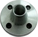 Metal Flanges